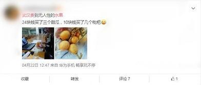 梨元在线观看,揭秘热门剧集背后的精彩故事