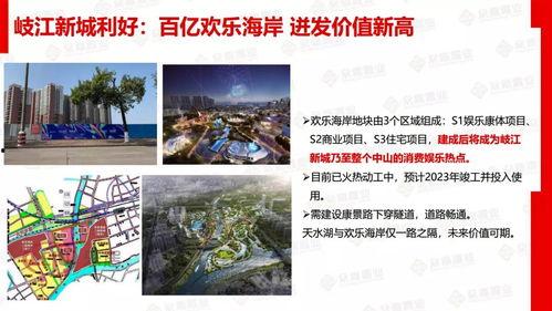 新闻内部爆料案例,一场真相与舆论的较量